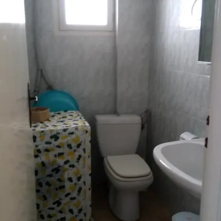 John Galouzis Myrties