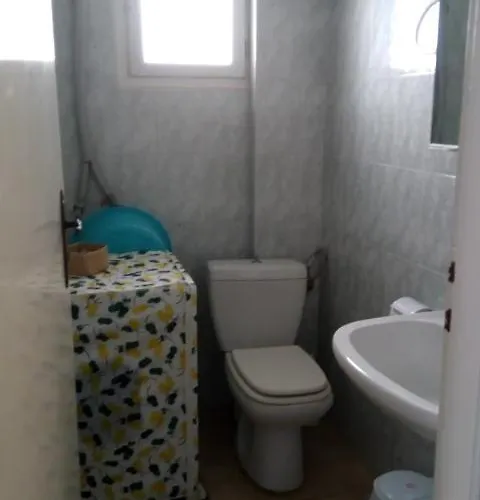 John Galouzis Myrties